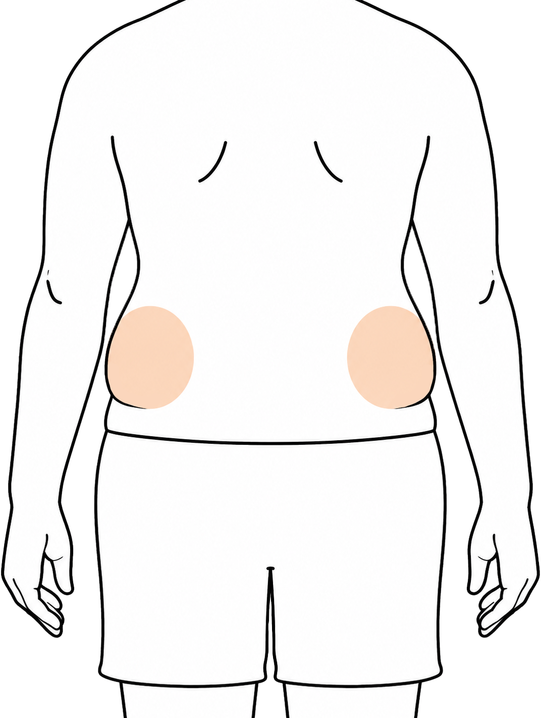 腰回り（脇腹）背面