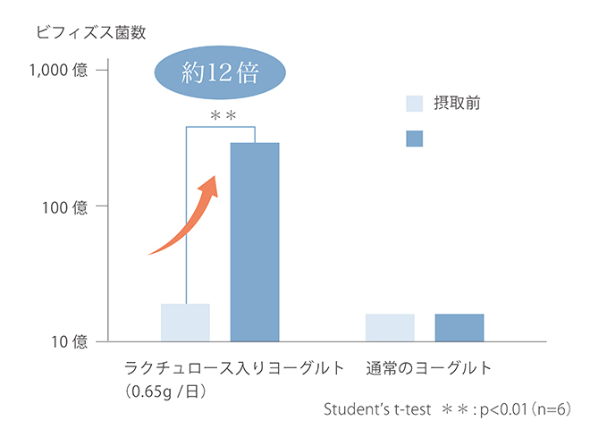腸内のビフィズス菌の変化グラフ