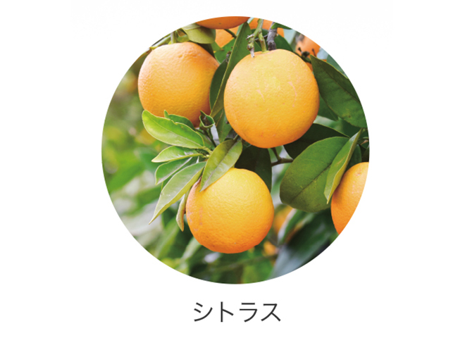 シトラス