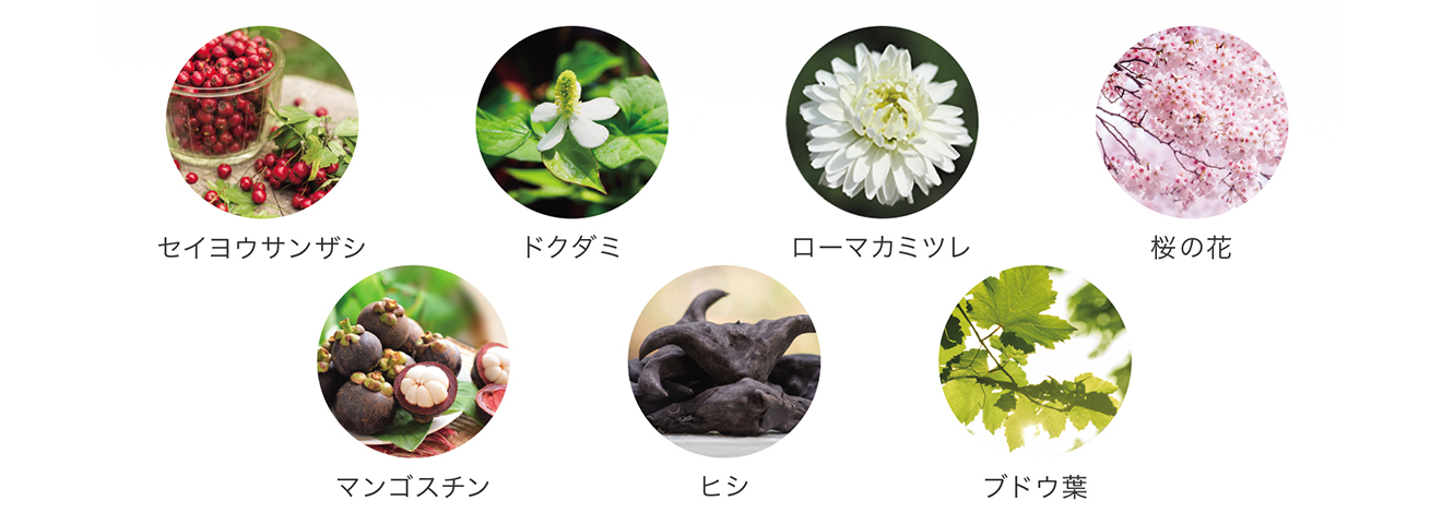 7種原材料